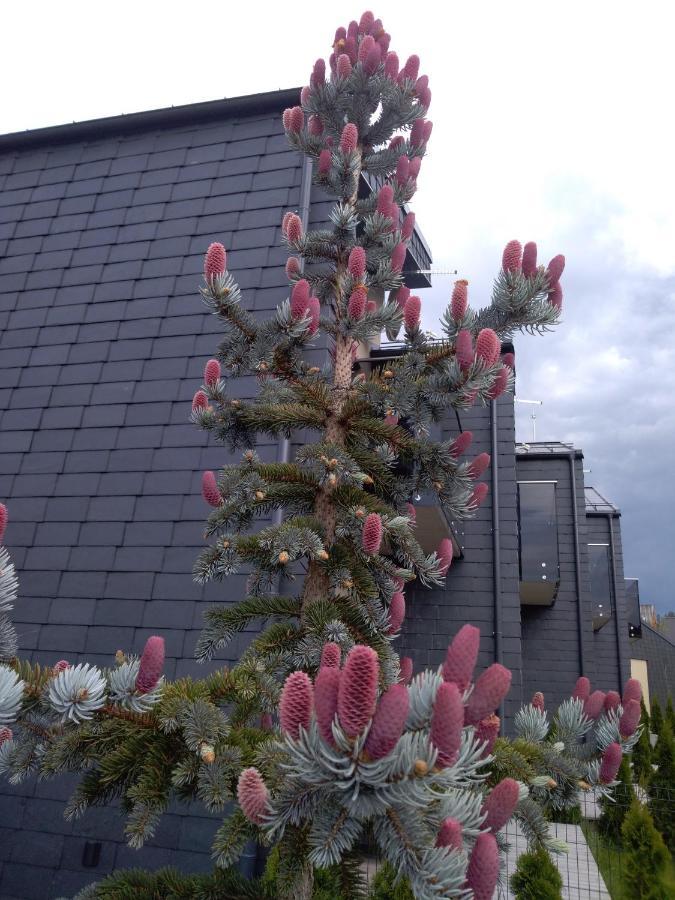 Nikolas Apartamentai - Birstono 7 ドルスキニンカイ エクステリア 写真